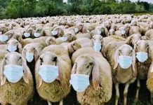 WHY Vaccine & Mask MANDATES MATTER