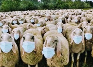 WHY Vaccine & Mask MANDATES MATTER