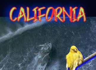 FOLLOWING THE CALIFORNIA MODEL