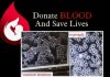 IS OUR BLOOD SAFE?