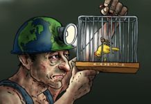 IGNORING AMERICA’S DYING CANARIES