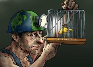 IGNORING AMERICA’S DYING CANARIES