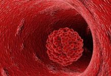 CLOT SHOTS & POP-CON 101