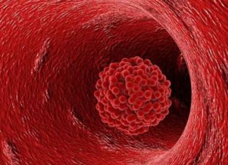 CLOT SHOTS & POP-CON 101