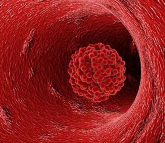 CLOT SHOTS & POP-CON 101