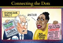 HOW, WHEN & WHY they want to destroy our liberty