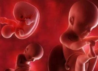 THE SANCTITY OF LIFE