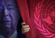 CANCEL THE U.N. with Dr. Rima Laibow