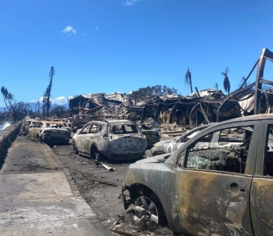 THE MAUI DISASTER EXPOSED