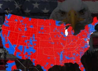 (S)ELECTION SEASON 2024