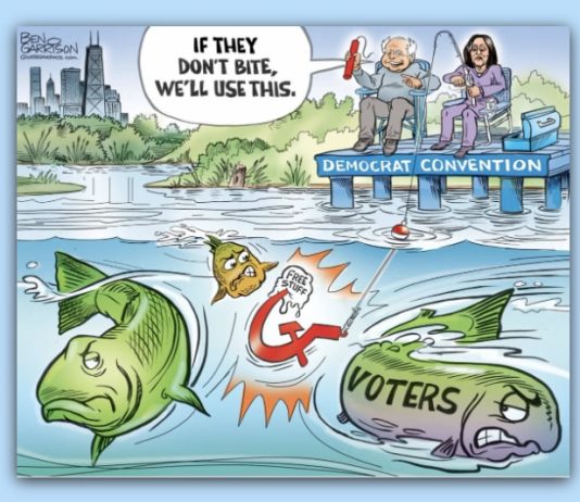 WHAT ELECTION FRAUD?