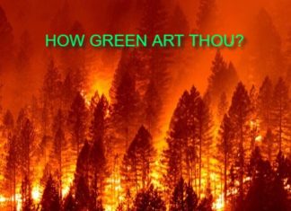 HOW GREEN ART THOU?