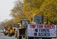 THE ECONOMIC CONSEQUENCES OF TRIBALISM