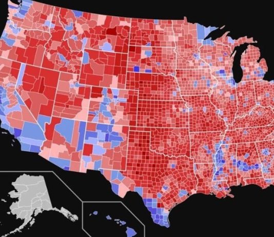 ELECTION TRIAGE mapping the next 20 months