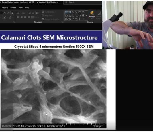 TRANSFORMING HUMAN BIOLOGY