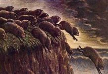 LESSONS FOR THE HERD MENTALITY ~ Part 3