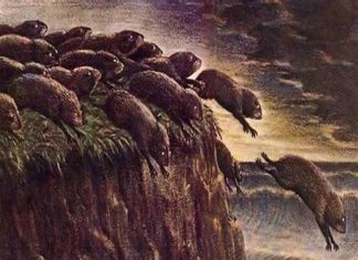 LESSONS FOR THE HERD MENTALITY ~ Part 3