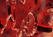 BIG PHARMA, PARASITES & AFFORDABLE CURES