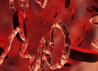 BIG PHARMA, PARASITES & AFFORDABLE CURES