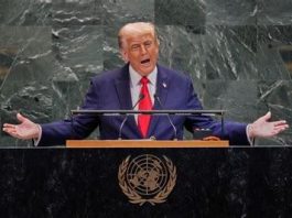 BOMBASTIC, BUMBLING or BRILLIANT?