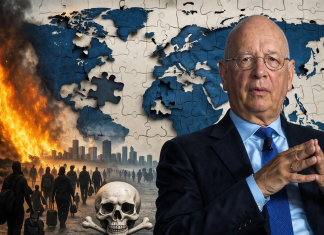 POPULATION REDUCTION the big picture